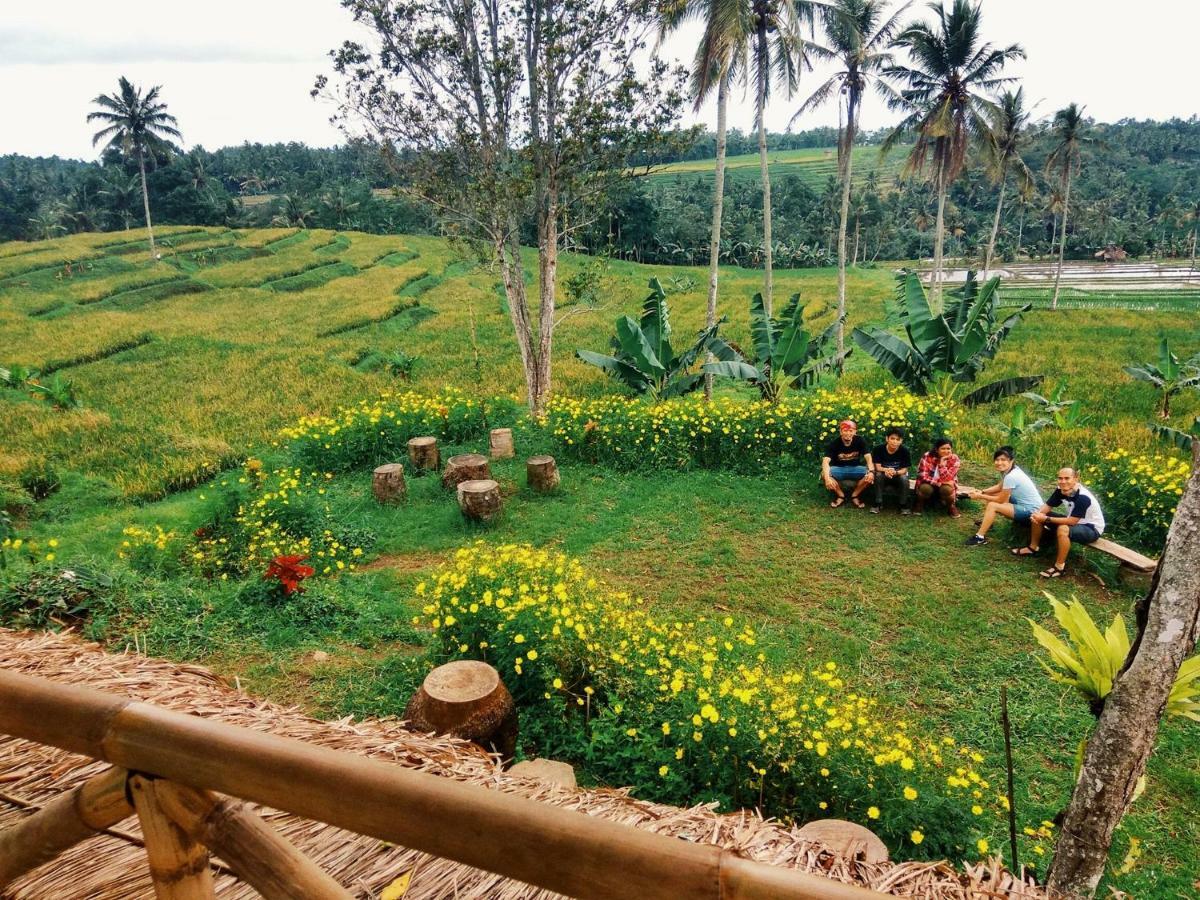 Agus Hidden Homestay - Banjar Sweet Village Баньюванги Экстерьер фото